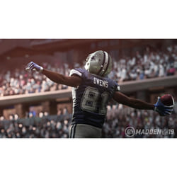 Electronic Arts Madden NFL 19