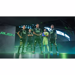 Electronic Arts EA Sports FC 25 Standard Anglais PlayStation 4