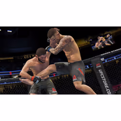 BANDAI NAMCO Entertainment UFC 4 Standard Allemand PlayStation 4