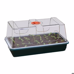 Mini-serre de jardinage dintérieur grande taille
