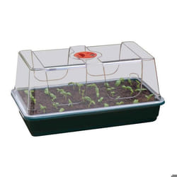 Mini-serre de jardinage dintérieur grande taille