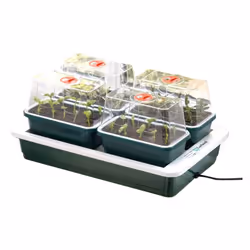 Petite serre chauffante FAB4 de Garland 8W (grâce à la fibre de carbone pour une répartition globale de la chaleur) pour grai ...