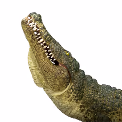 Mojo Fun Crocodile with Articulated Jaw - Vue supplémentaire 5