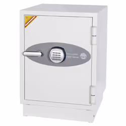 Phoenix Safe Co. DS2501E, Blanc, Verrouillage à combinaison, 500 mm, 500 mm, 720 mm, 375 x 330 x 510 mm