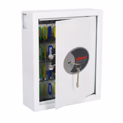 Phoenix Safe Co. Cygnus