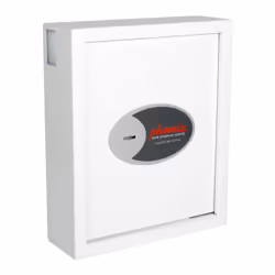Phoenix Safe Co. Cygnus Métal Blanc