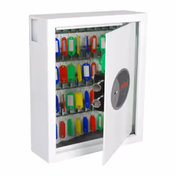 Phoenix Safe Co. Cygnus Métal Blanc