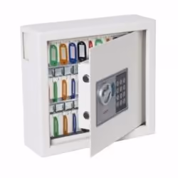 Phoenix Safe Co. KS0031E MKII armoire et support à clé Blanc