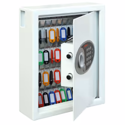 Phoenix Safe Co. Cygnus KS0032E