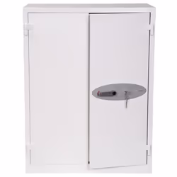 Phoenix Safe Co. FS1512K coffre-fort Gris