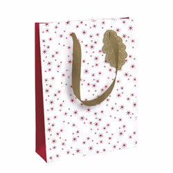 Clairefontaine X-29508-2C, Multicolore, Rectangle, Papier, 330 mm, 265 mm, 140 mm