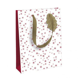 Clairefontaine X-29508-2C sac en papier Multicolore