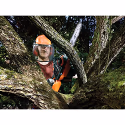 Black & Decker GKC3630L20 tronçonneuse Noir, Orange - Vue supplémentaire 4