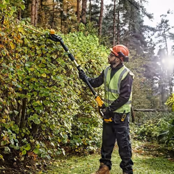 DeWALT DCMPH566N-XJ Taille-Haies Sur Perche 18V 55 cm Noir Jaune - Vue supplémentaire 10