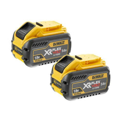 Dewalt - Lot de 2 batteries 18/54V xr flexvolt 12,0 Ah DCB548Y2