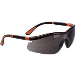 Portwest - Lunettes de sécurité Néon Fumé