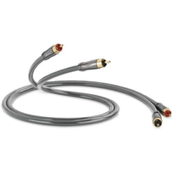 QED Performance Audio 40i - Câble Stéréo RCA de 06 m