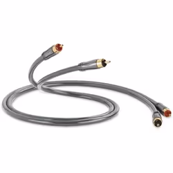 QED Performance Audio 40i - Câble Stéréo RCA de 1 m
