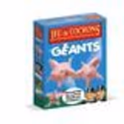 JEU DE COCHONS GEANTS - Jeu de plateau - WINNING MOVES