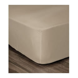 Les Tendances - lovely home drap housse 100% coton 180X200X30 cm beige HP61281