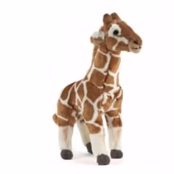 Keycraft AN331, Girafe