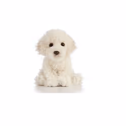 Keycraft AN443, Peluche chien