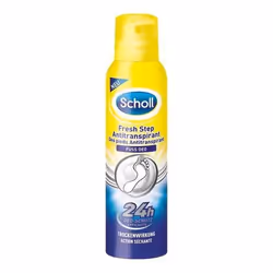 Scholl 8032599