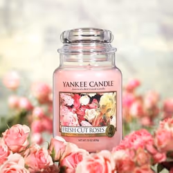 Yankee Candle 1038367E bougie en cire Rond Rose 1 pièce(s)