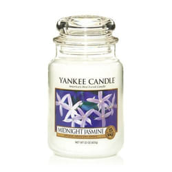 Yankee Candle 1129548E bougie en cire Rond Jasmin Blanc 1 pièce(s)
