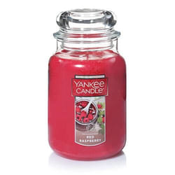 Yankee Candle Red Raspberry bougie en cire Cylindre Sucre, Musc Rouge 1 pièce(s)