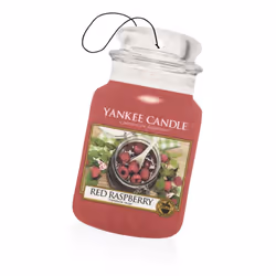 Yankee Candle Red Raspberry, Rafraîchisseur d'air suspendu, Support, Rouge, Carton, 80 mm, 190 mm