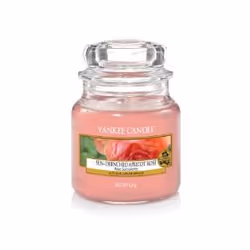 Yankee Candle Sun-Drenched Apricot Rose, Rond, Rose, Transparent, Abricot, Rose, 30 h, 1 pièce(s)