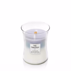 WoodWick 92965, Autres, Bleu, Violet, Blanc, Eucalyptus, Lavande, 1 pièce(s)
