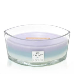 WoodWick 76965 bougie en cire Autres Eucalyptus, Lavande Bleu, Violet, Blanc 1 pièce(s)