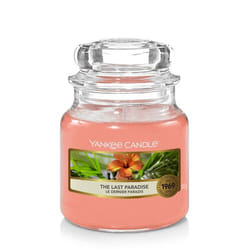 Yankee Candle The Last Paradise bougie en cire Rond Orange 1 pièce(s)