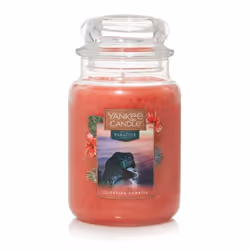 Yankee Candle Cliffside Sunrise, Cylindre, Rose, Champagne, Citron, Hibiscus, Fraise, 150 h, 1 pièce(s)