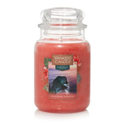 Yankee Candle Cliffside Sunrise bougie en cire Cylindre Champagne, Citron, Hibiscus, Fraise Rose 1 pièce(s)