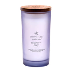 Chesapeake Bay Serenity & Calm bougie en cire Cylindre Violet