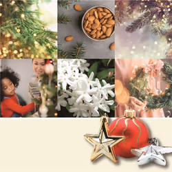 Yankee Candle Twinkling Lights bougie en cire Autres Amande, Cèdre, Jasmin, Pêche, Bois de santal, Vanille Blanc 1 pièce(s)