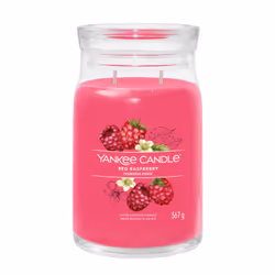 Yankee Candle 1701375E, Cylindre, Pourpre, Framboise, 90 h, 1 pièce(s)