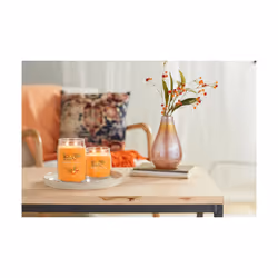 Yankee Candle Signature bougie en cire Cylindre Abricot, Pêche, Vanille Orange 1 pièce(s)