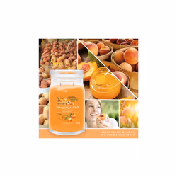 Yankee Candle Signature bougie en cire Cylindre Abricot, Pêche, Vanille Orange 1 pièce(s)