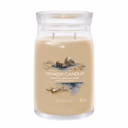 Yankee Candle Amber &amp; Sandalwood, Cylindre, Marron, Épice, 90 h, 1 pièce(s)