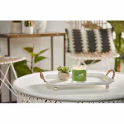 Yankee Candle Vanilla Lime bougie en cire Rond Sucre de canne, Citron vert, Vanille Vert 1 pièce(s)