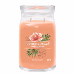 Yankee Candle Tropical Breeze, Cylindre, Orange, Goyave, Menthe, 90 h, 1 pièce(s)