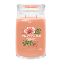 Yankee Candle Tropical Breeze bougie en cire Cylindre Goyave, Menthe Orange 1 pièce(s)