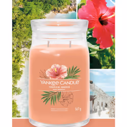 Yankee Candle Tropical Breeze bougie en cire Cylindre Goyave, Menthe Orange 1 pièce(s)