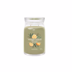Yankee Candle Sage &amp; Citrus, Cylindre, Vert, Citron, 90 h, 1 pièce(s)