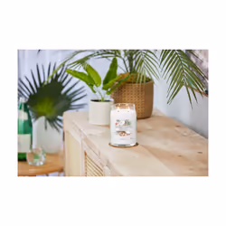 Yankee Candle Signature bougie en cire Cylindre Noix de coco, Ananas, Vanille Blanc 1 pièce(s)