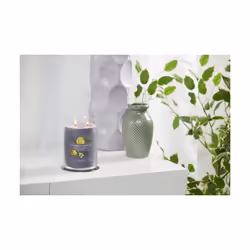 Yankee Candle Signature bougie en cire Cylindre Black tea (leaf), Citron Gris 1 pièce(s)
